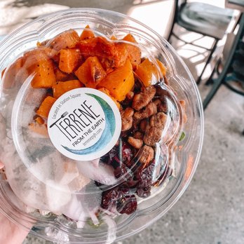 Terrene - a hand holding a container of food - Salad Near Me - Pittsburgh, Pennsylvania Terrene - a hand holding a container of food - Salad Near Me - Pittsburgh, Pennsylvania
