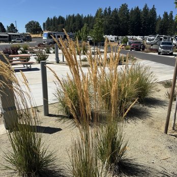 Grass Valley RV Resort - Rv park - RV Parks Near Me - Grass Valley, California