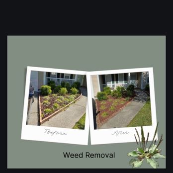 Anocetos Lawn Care - Lawn Services Near Me Anocetos Lawn Care - Lawn Services Near Me