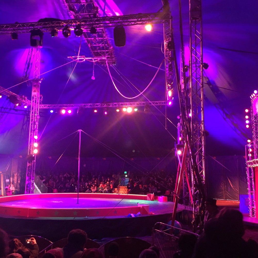 Circus Bella - Performing Arts Near Me - San Francisco, California Circus Bella - Performing Arts Near Me - San Francisco, California