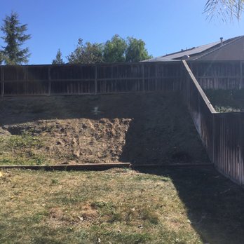Ezra Tree Service - After - Tree Services Near Me Ezra Tree Service - After - Tree Services Near Me