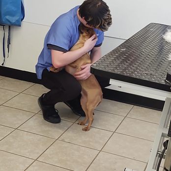 Pet Paradise - Pet Boarding Near Me - Tullahoma, Tennessee