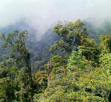 Genting SkyWay by null