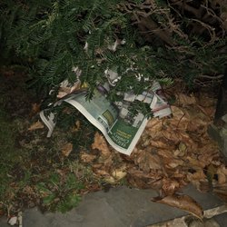 Newark Pennysaver