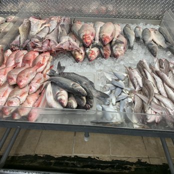 Darigo's Fish Market - Seafood Markets Near Me - Philadelphia, Pennsylvania Darigo's Fish Market - Seafood Markets Near Me - Philadelphia, Pennsylvania