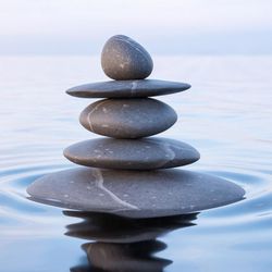 The Wellness Institute Of Dallas