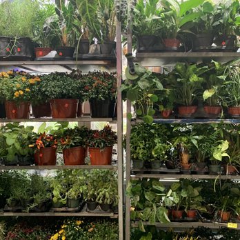 Saifee Hardware & Garden - Nurseries & Gardening Near Me - New York, New York