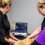 Photo of Vernon Veterinary Clinic