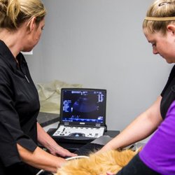 Vernon Veterinary Clinic