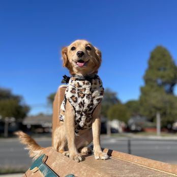 Newbark Dog Park - Dog Parks Near Me - Newark, California Newbark Dog Park - Dog Parks Near Me - Newark, California