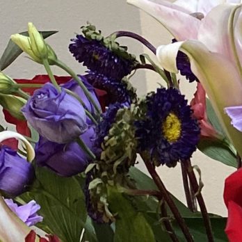 Fiesta - Look at how WILTED these flowers are like this is the FIRST day by day 3 they are going to be FULLY dead - Florists Near Me - Las Cruces, New Mexico