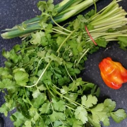 The Garden of Eden - Great place for stir fry ingredients including scotch bonnet!