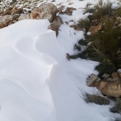 Remmington Trail - Fresh snow peaks