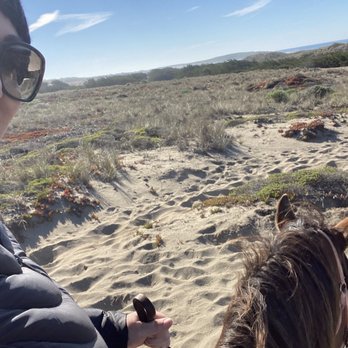 Horse N Around Trail Rides - Horseback Riding Near Me - Bodega, California