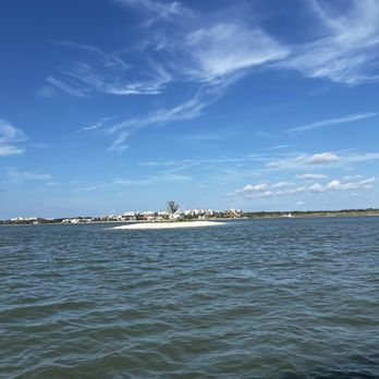 Fins Up Clearwater - Boat Tours Near Me - Tampa Bay, Florida