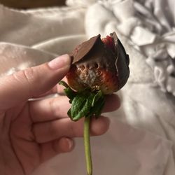Moldy Strawberry