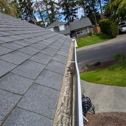 Cleaned gutters