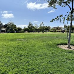 Maggie Houlihan Memorial Dog Park