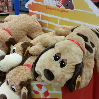 PetSmart - Part of ourchase goes to charities, gronk is gonna love this. - Pet Stores Near Me - Sacramento, California PetSmart - Part of ourchase goes to charities, gronk is gonna love this. - Pet Stores Near Me - Sacramento, California