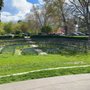 Photo of Sacramento Shakespeare Festival