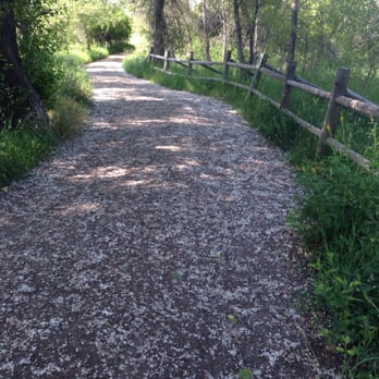 South Boulder Creek Trail - Parks Near Me South Boulder Creek Trail - Parks Near Me