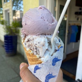Bluebird Ice Cream - Coconut mint chip &  merrionberry - Ice Cream & Frozen Yogurt Near Me - Seattle, Washington