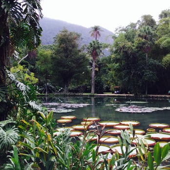 Jardim Botânico - Serenity. Another beautiful mini-lake. - Botanical Gardens Near Me - Rio de Janeiro, RJ