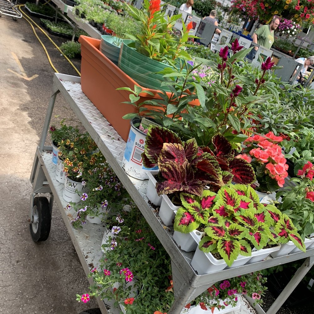 My cart, about 320.00. Fair prices, comparable to other garden centers with not so healthy plants. Pots are NOT cheap. My cart, about 320.00. Fair prices, comparable to other garden centers with not so healthy plants. Pots are NOT cheap.