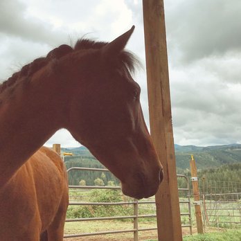 Thunder Ridge Ranch - Horse Boarding Near Me - Lebanon, Oregon