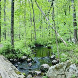 Trail