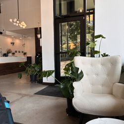 TOASTED. Bagels & Coffee - More interior