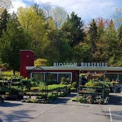 Blossom Knoll Nurseries