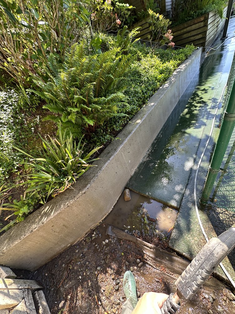 Slide of Apex Pro Kleening