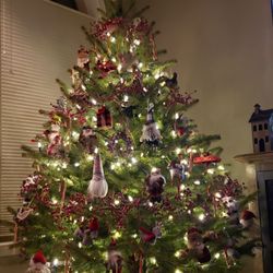 Spruce Grove Tree Farm