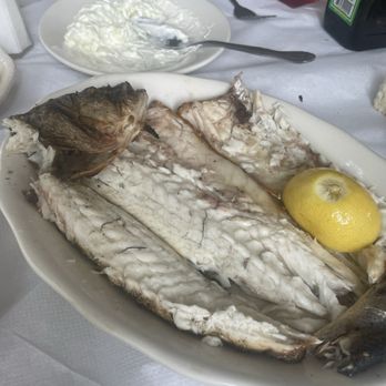 Elias Corner - Branzino - Mediterranean Near Me - Astoria, New York