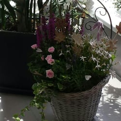 Blumenhaus Hugo