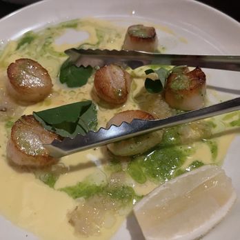 Jervois Steak House - Bars Near Me - Auckland, AUK Jervois Steak House - Bars Near Me - Auckland, AUK