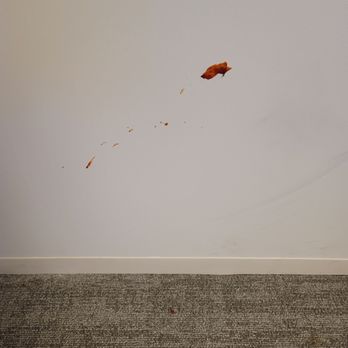 Newark Library - Ketchup or some sauce just on the wall, no attempts to clean up - Libraries Near Me - Newark, California