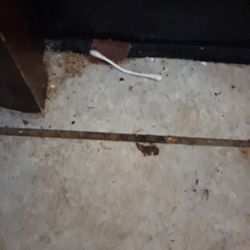 Budget Inn Punta Gorda