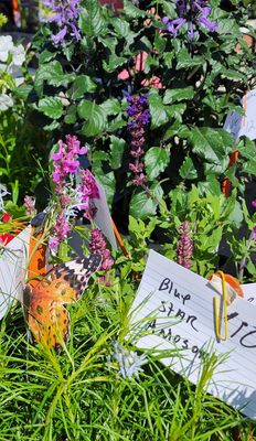 Tulsa Farmers' Market by null