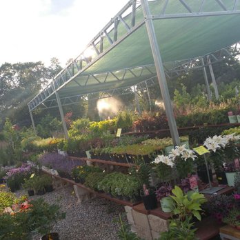 Steinkopf Nursery - Nurseries & Gardening Near Me - Farmington Hills, Michigan Steinkopf Nursery - Nurseries & Gardening Near Me - Farmington Hills, Michigan