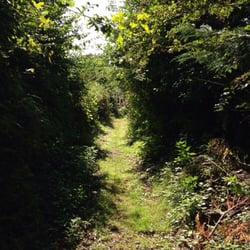 China Fleet Country Club - The Nature Trail's a great place to spot birds, identify animal smells and droppings, and have some quiet time with the flora