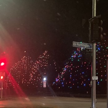 Christmas Tree Lane - Christmas Trees Near Me - San Marino, California
