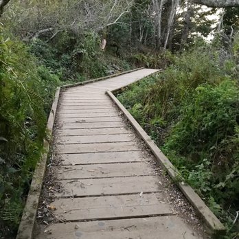 Mount Tamalpais State Park - Parks Near Me - Mill Valley, California Mount Tamalpais State Park - Parks Near Me - Mill Valley, California