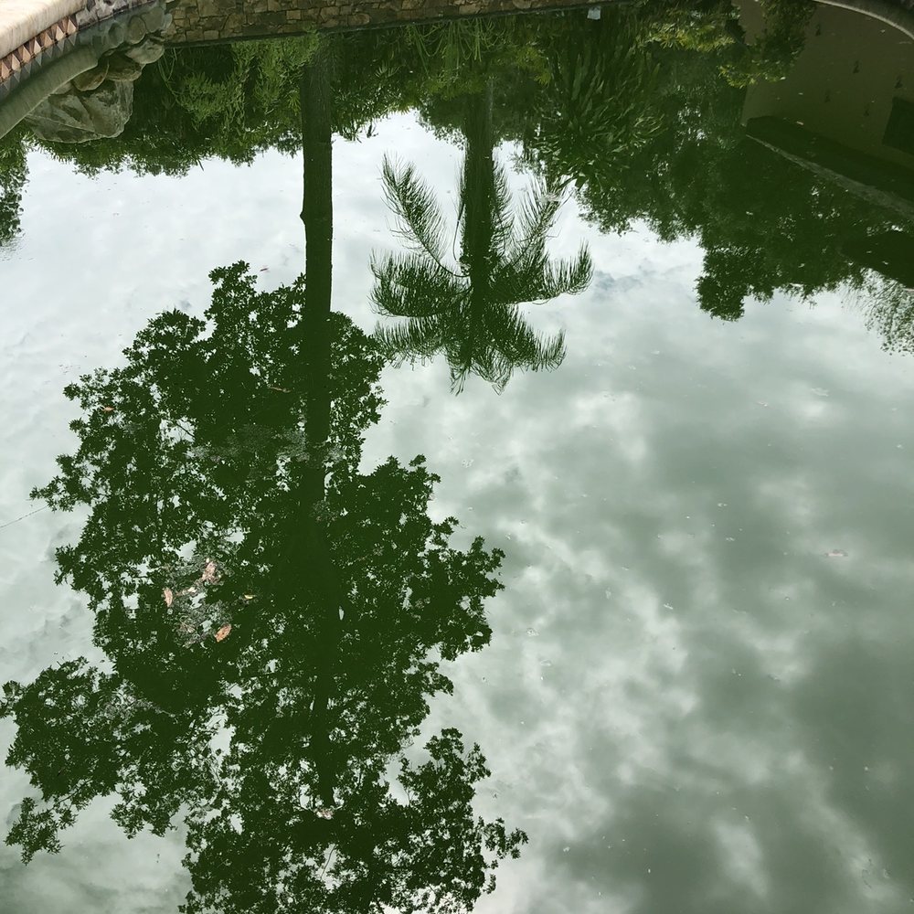 FLA Pools - Pond pool - Pool & Hot Tub Service Near Me - Brandon, Florida FLA Pools - Pond pool - Pool & Hot Tub Service Near Me - Brandon, Florida