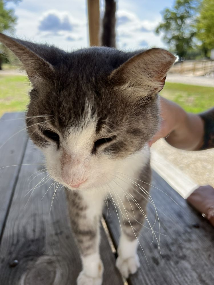 Pere Marquette Riding Stables - equestrian in Grafton, IL
