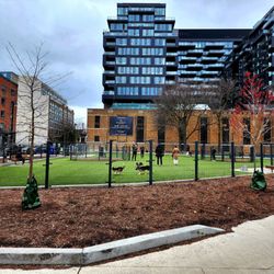 St. Andrew's Playground Dog Park - Fenced dog park