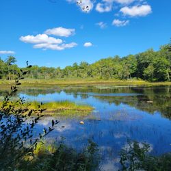 Browning Mill Pond Trail