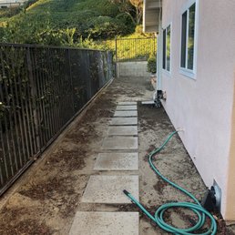 Before - side yard