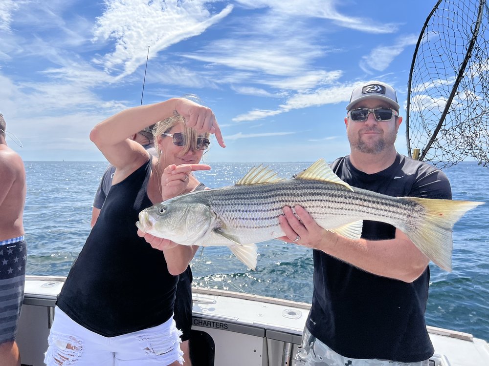 ArchAngel Charters Logo